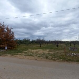 Terreno agricolo in zona Viale Regio