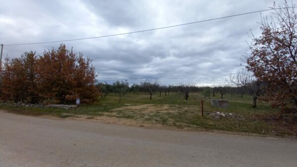 Terreno agricolo in zona Viale Regio