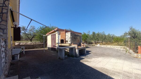 Villino in zona Viale Regio Bosco Comunale - immagine 10
