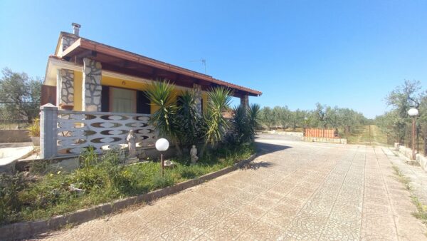 Villino in zona Viale Regio Bosco Comunale