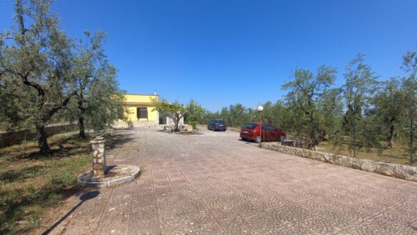 Villino in zona Viale Regio Bosco Comunale - immagine 12