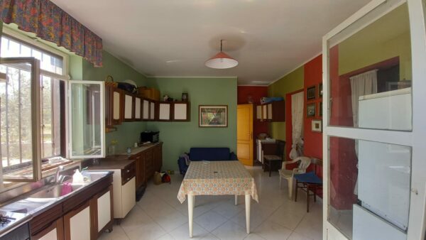 Villino in zona Viale Regio Bosco Comunale - immagine 7