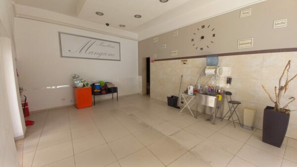Locale commerciale in zona via Don Minzoni - immagine 2