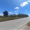 Terreno agricolo in zona Via Gravina - immagine 2