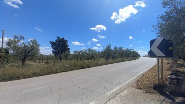 Terreno agricolo in zona Via Gravina - immagine 2