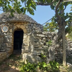 Terreno agricolo in zona Via Gravina