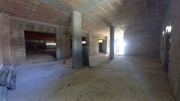 Villa + capannone zona Via Gravina - immagine 5
