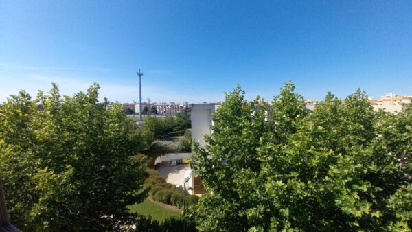 Villa + capannone zona Via Gravina - immagine 19