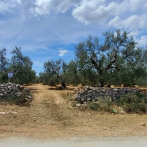 Terreno agricolo in zona Via Vecchia Molfetta