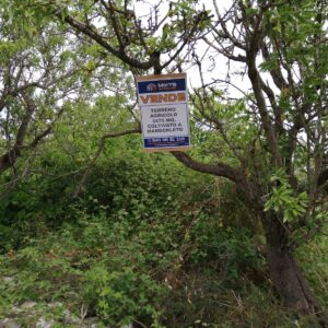 Terreno agricolo in zona Via San Vittore