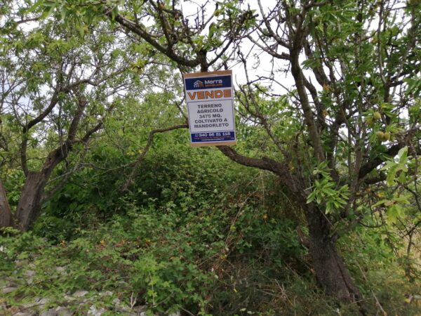 Terreno agricolo in zona Via San Vittore