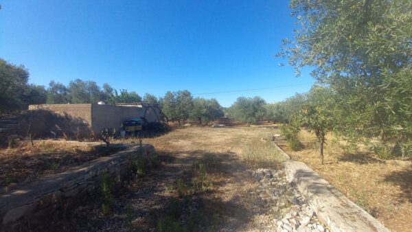 Terreno agricolo in Contrada San Vittore - immagine 3