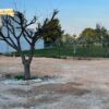 Villa di Nuova Costruzione in zona Bracco - immagine 17