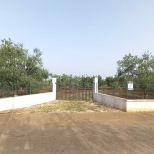 Terreno agricolo in Contrada Bosco Comunale