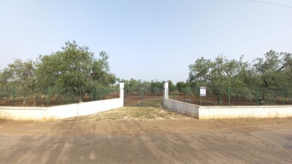Terreno agricolo in Contrada Bosco Comunale