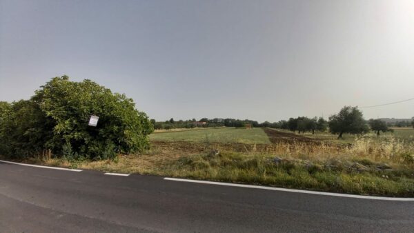 Terreno agricolo in zona Contrada San Giuseppe
