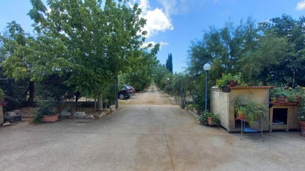 Villa in zona Tratturello Pedale - immagine 12