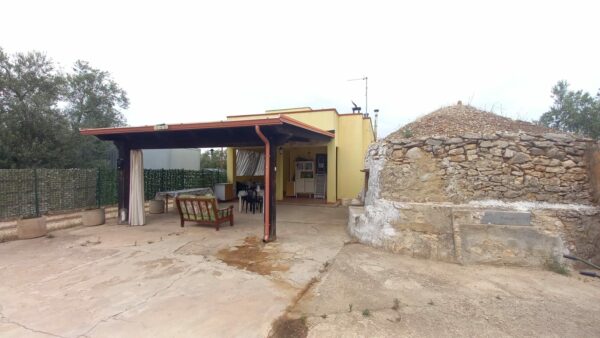 Villino in zona Via Vecchia Molfetta - immagine 14
