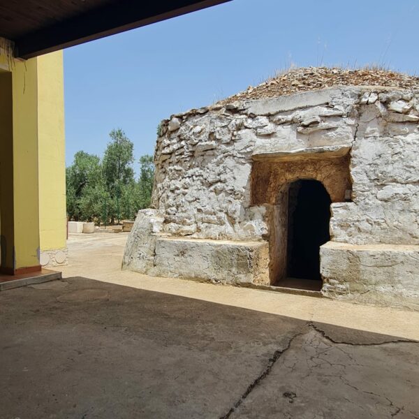 Villino in zona Via Vecchia Molfetta - immagine 13