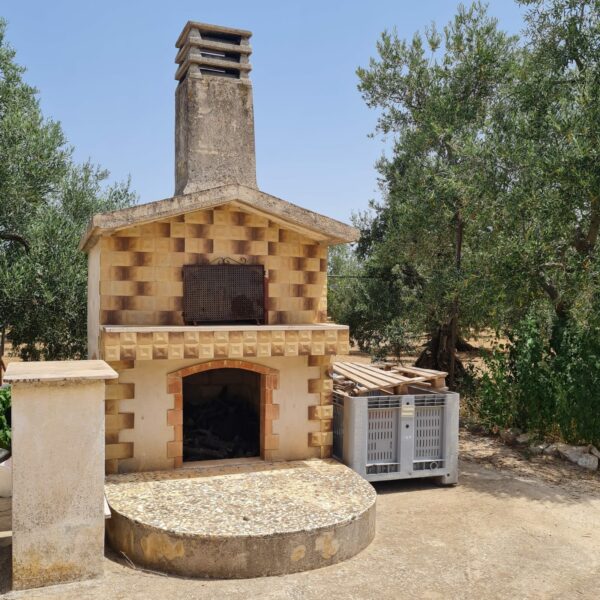 Villino in zona Via Vecchia Molfetta - immagine 11
