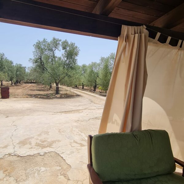 Villino in zona Via Vecchia Molfetta - immagine 9