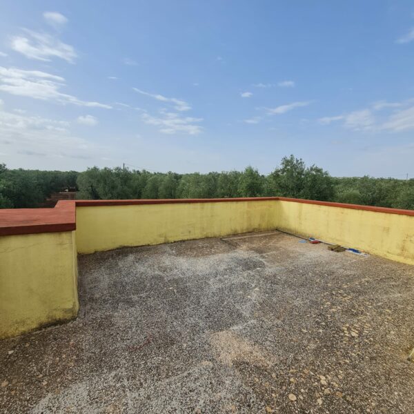 Villino in zona Via Vecchia Molfetta - immagine 6