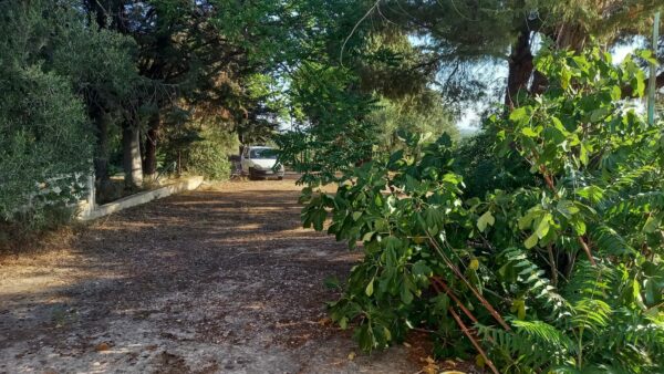 Villino con ampio terreno in zona Tratturello Barletta Grumo - immagine 17