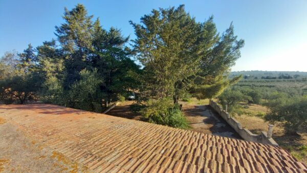 Villino con ampio terreno in zona Tratturello Barletta Grumo - immagine 13