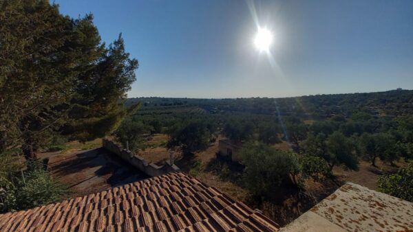 Villino con ampio terreno in zona Tratturello Barletta Grumo - immagine 14