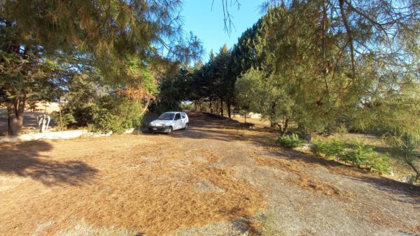 Villino con ampio terreno in zona Tratturello Barletta Grumo - immagine 10