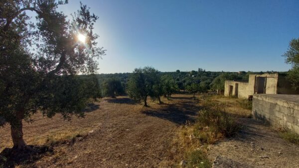 Villino con ampio terreno in zona Tratturello Barletta Grumo - immagine 9