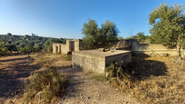 Villino con ampio terreno in zona Tratturello Barletta Grumo - immagine 8