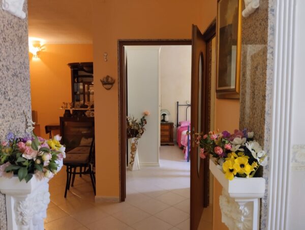 Indipendente in zona Via San Domenico - immagine 16