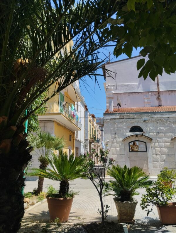 Indipendente in zona Via San Domenico - immagine 30
