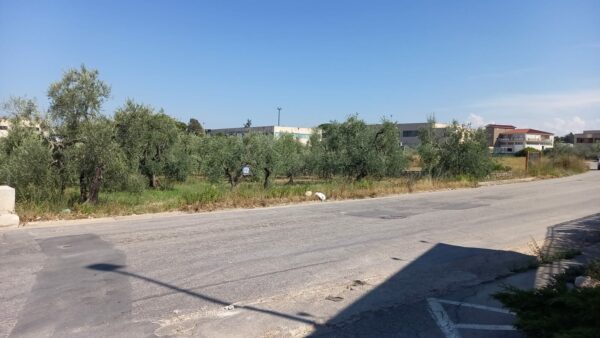 Terreno industriale in zona Via Gravina - immagine 2