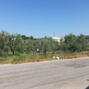 Terreno industriale in zona Via Gravina