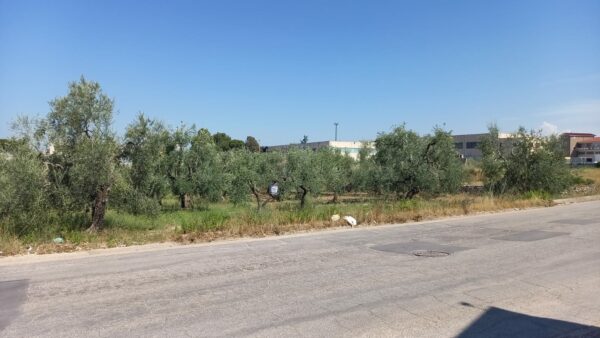 Terreno industriale in zona Via Gravina
