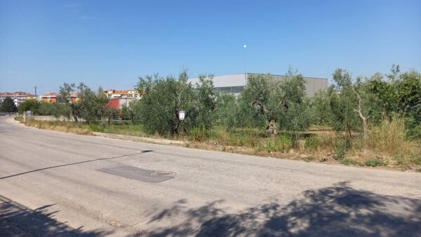 Terreno industriale in zona Via Gravina - immagine 3