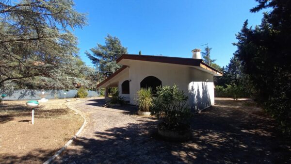 Villa In zona Castel del Monte - immagine 16