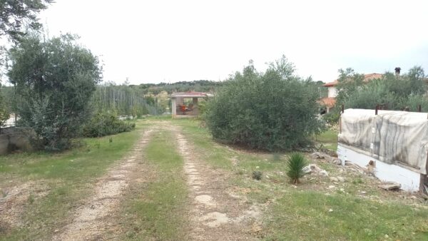 Villa a rustico in zona Barletta Grumo - immagine 15