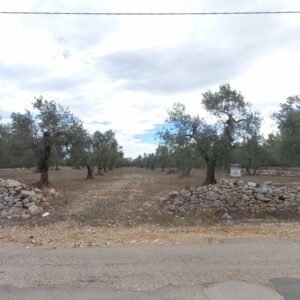 Terreno agricolo Viale San Vittore