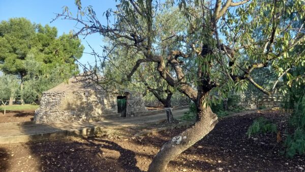 Villino in vendita in zona Contrada Difesa - immagine 14