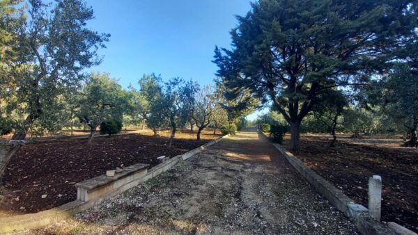 Villino in vendita in zona Contrada Difesa - immagine 16