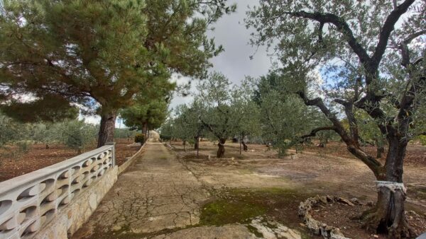 Villino in vendita in zona Contrada Difesa - immagine 17