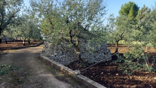 Villino in vendita in zona Contrada Difesa - immagine 18
