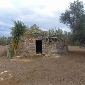 Terreno agricolo in zona Via Trani