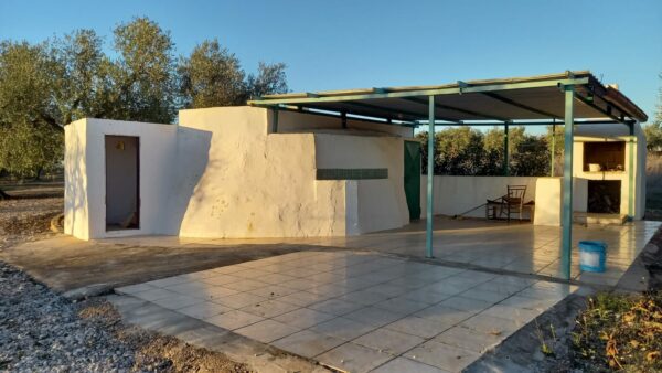 Terreno agricolo in zona Contrada Murgetta - immagine 7