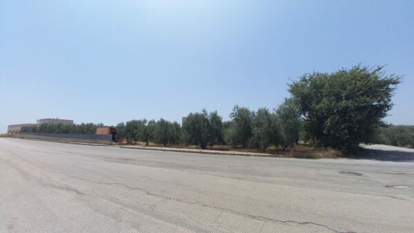 Terreno industriale con deposito in zona Via Gravina - immagine 2