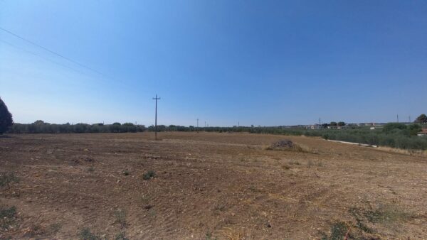 Terreno agricolo in zona Via Lago Baione