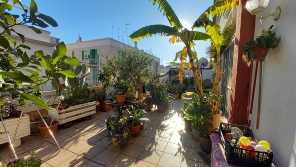 Appartamento con ascensore e box in Via San Domenico - immagine 14